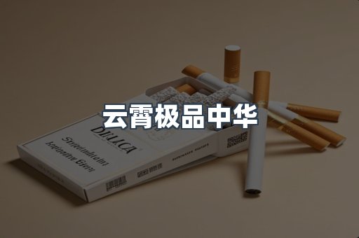 云霄极品中华